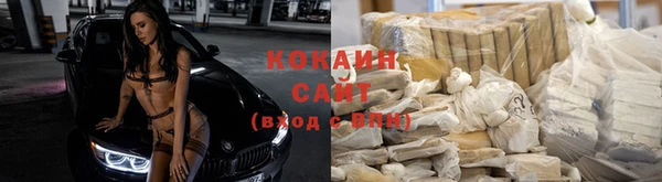 соль ск Белокуриха